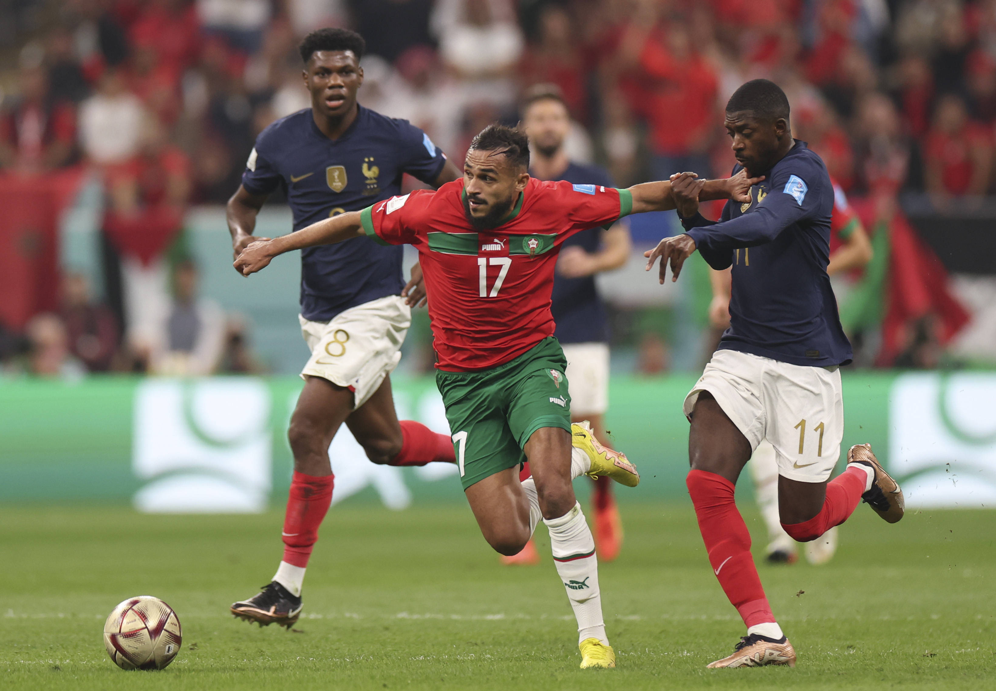 力再次证明 力再次证明