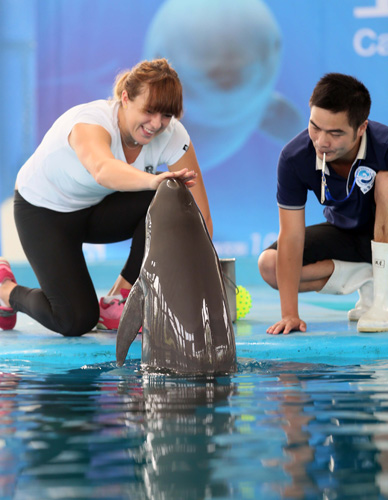 场景与取舍 场景与取舍